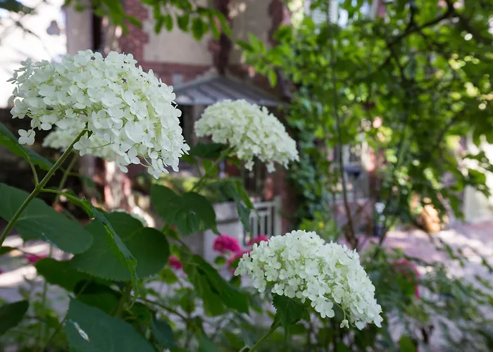 La Maison Du Parc 4*